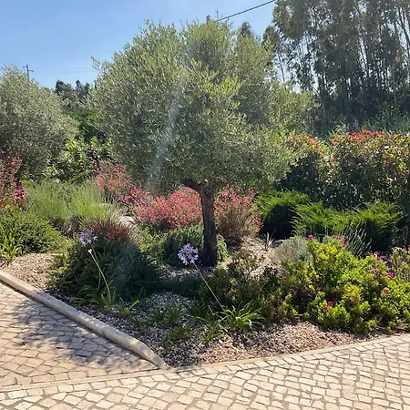 33 Silver Coast Villa Nadadouro